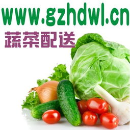 為什么要吃有機蔬菜？廣州農(nóng)產(chǎn)品配送公司gzhdwl.cn為您解讀健康生活新風(fēng)尚