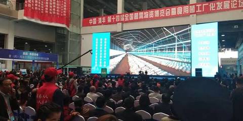 相約清豐 搜菇亮相河南食用菌大會(huì)，引領(lǐng)食用農(nóng)產(chǎn)品新篇章